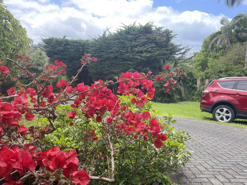 15 Penning Road, Milford, Auckland - Carousel 20