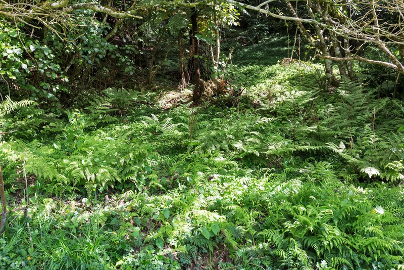 318 Whau Valley Road, Whau Valley, Whangarei - Carousel 18