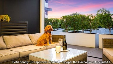 G07/9 Madeira Lane, Grafton, Auckland - Carousel 1