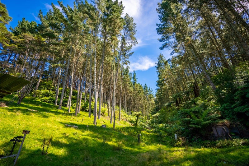 629A Hakarimata Road, Huntly - Carousel 36