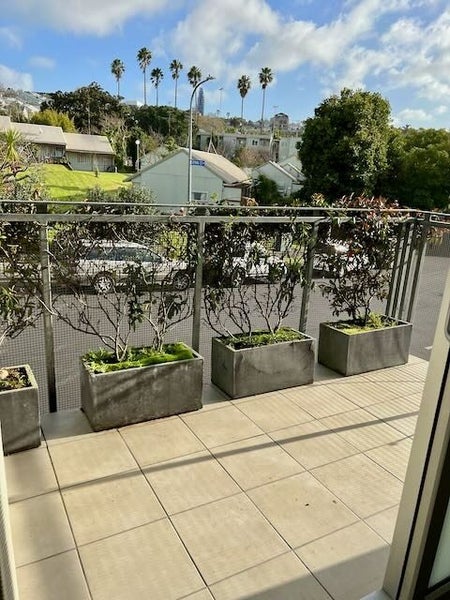 2I Middle Street, Freemans Bay, Auckland - Carousel 2