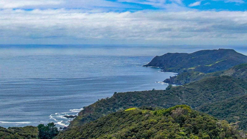 303 Waiaua Road, Hihi, Mangonui - Carousel 17