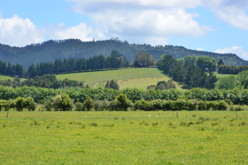 464 Woodcocks Road, Warkworth, Warkworth - Carousel 2