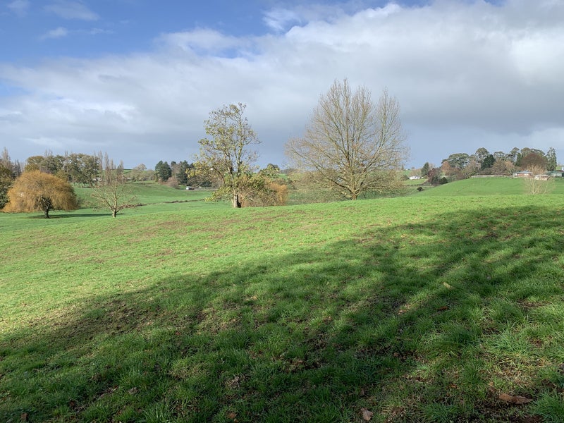 352 Otorohanga Road, Tokanui, Te Awamutu - Carousel 1