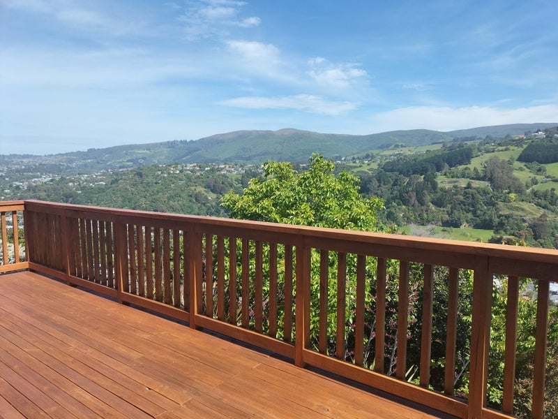 168 Evans Street, Opoho, Dunedin - Carousel 1