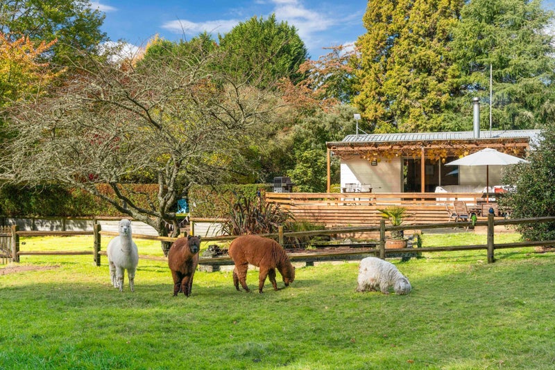 175 Forest Road, Taupo - Carousel 1