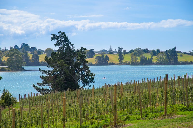 41 Cardno Way, Bronte - Carousel 34