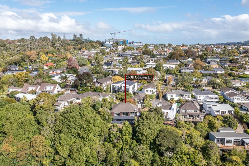 160B Gowing Drive, Meadowbank, Auckland - Carousel 21