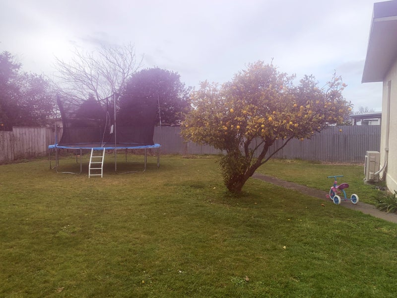 911 Miro Street, Mahora, Hastings - Carousel 13