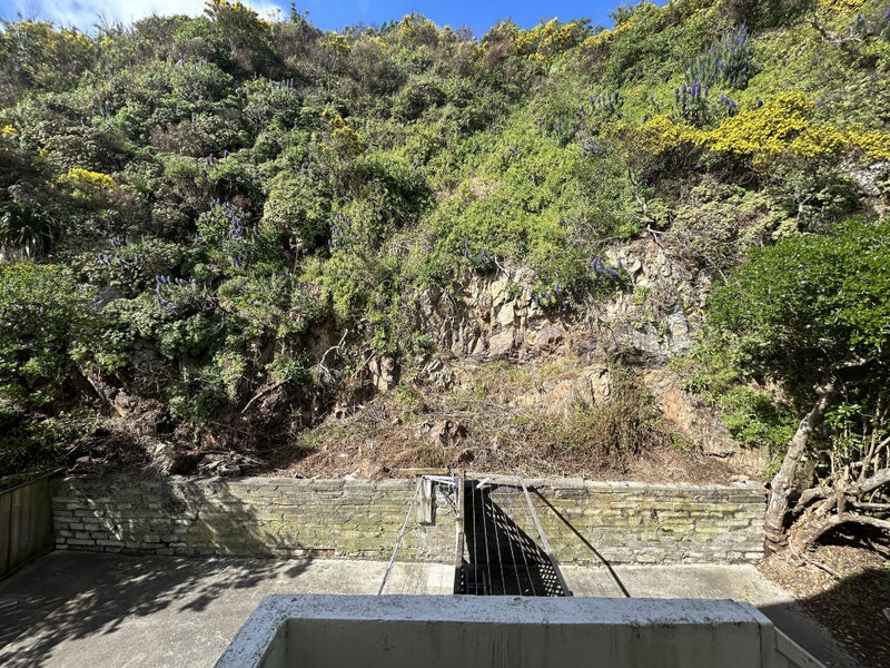 2/72B Ira Street, Miramar, Wellington - Carousel 15