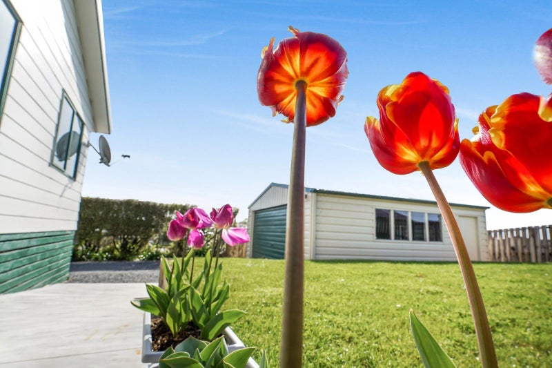 22 Galloway Street, Kihikihi, Te Awamutu - Carousel 2