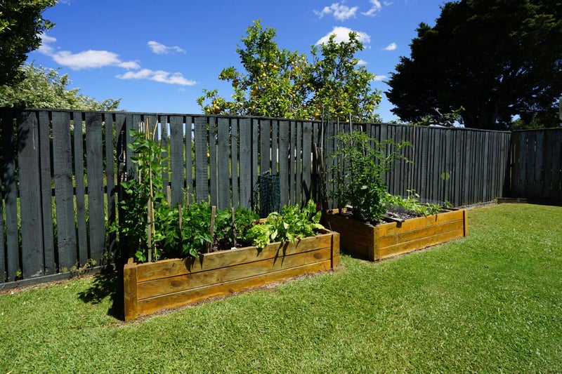 391B Peachgrove Road, Fairfield, Hamilton - Carousel 13