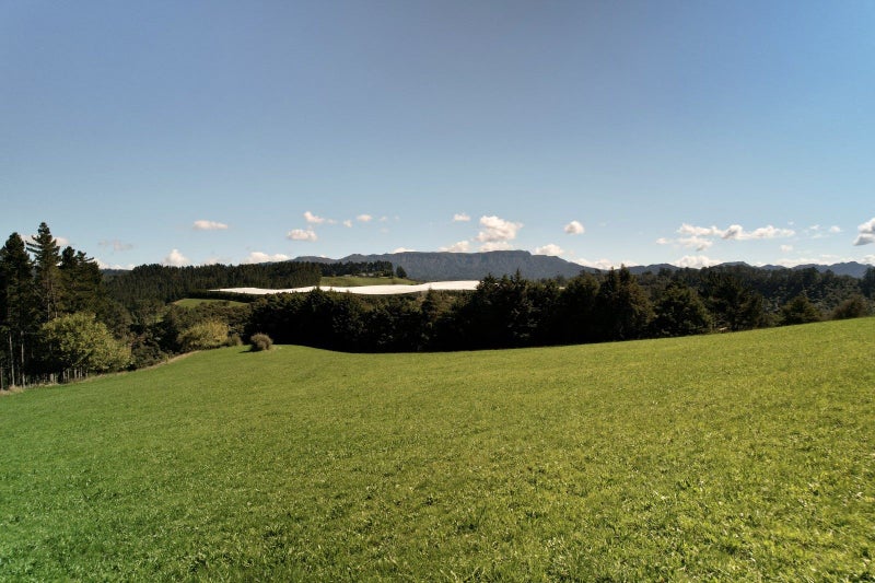 262 Wainui Road, WHAKAMARAMA, KATIKATI - Carousel 2