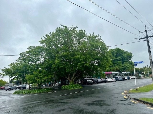 2C Laurence Street, Queenwood, Hamilton - Carousel 22