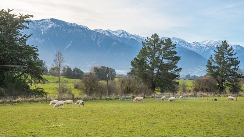 87 Green Lane, Kaikoura - Carousel 16