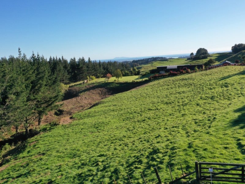 95 Te Kohanga Road, Whakamārama - Carousel 2