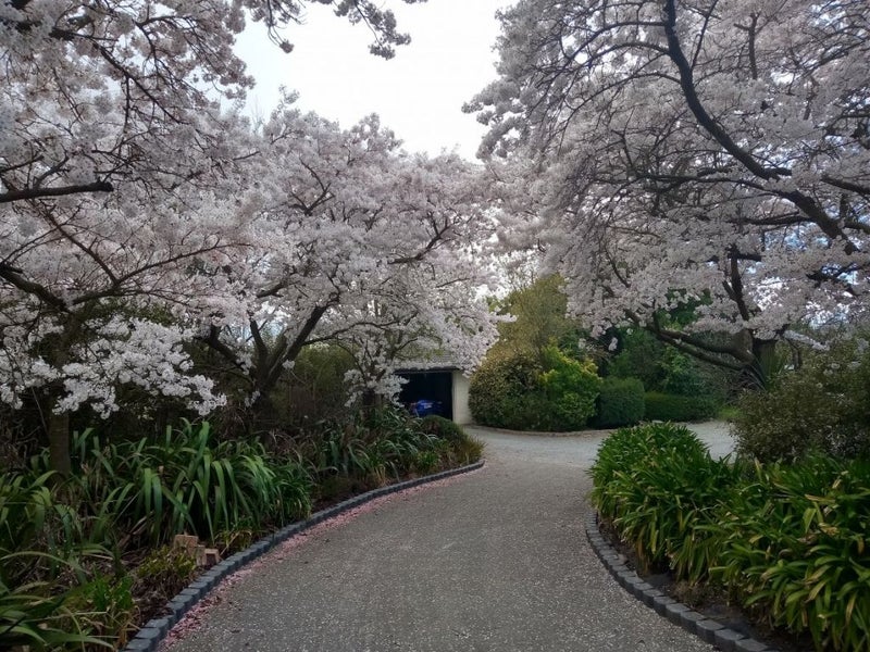 21 Manna Place, Christchurch - Carousel 20