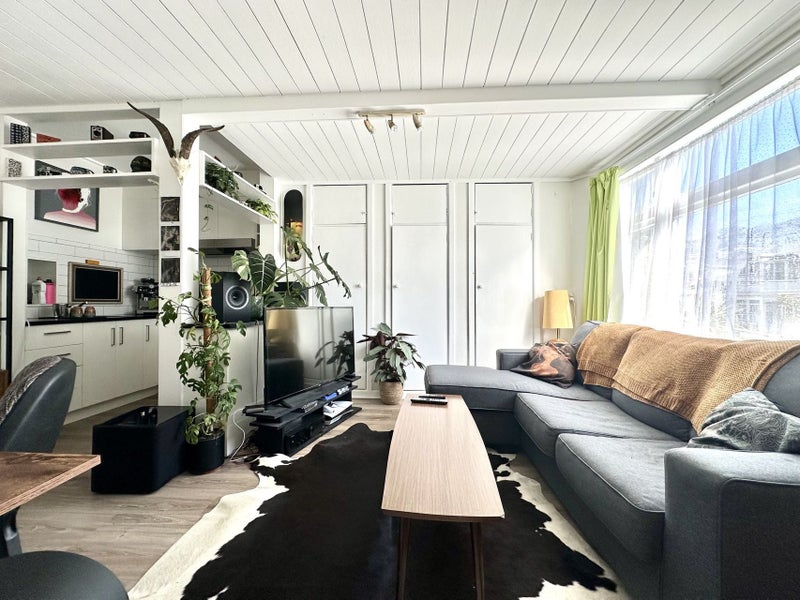 1B Manley Terrace, Newtown, Wellington - Carousel 2