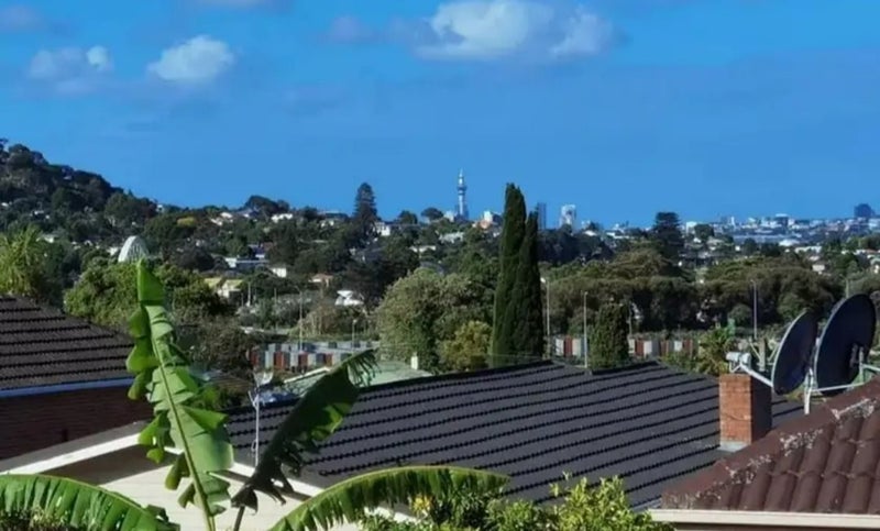 1/25 Brothers Street, New Windsor, Auckland - Carousel 1
