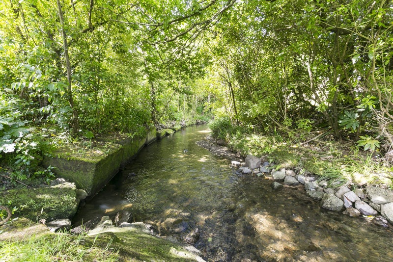 16 Glenside Road, Glenside, Wellington - Carousel 19