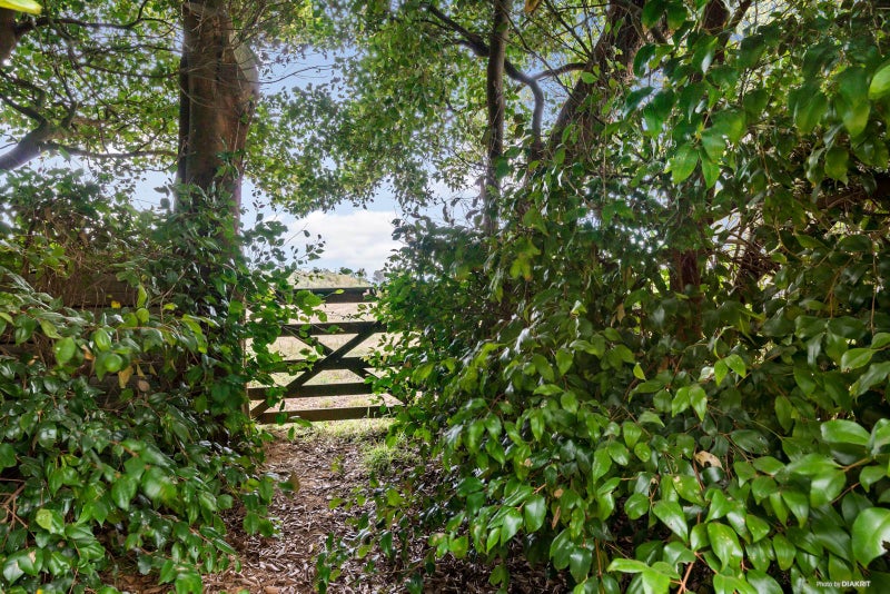 44 Kauri Road, Tuakau - Carousel 1