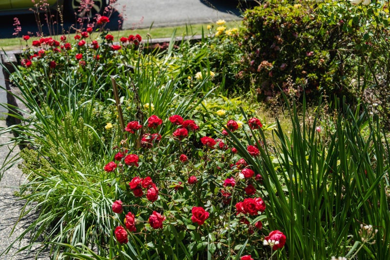 87A Main Road, Fairfield, Dunedin - Carousel 27