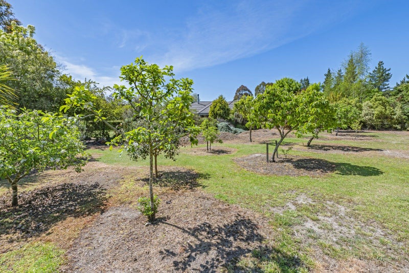 1103 Downs Road, West Eyreton, Rangiora - Carousel 50