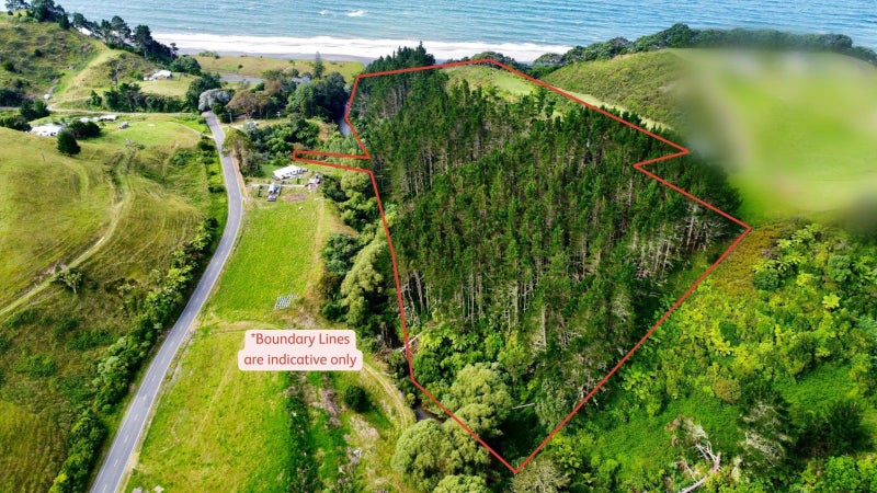 761H State Highway 2 West, Pikowai, Matatā - Carousel 2