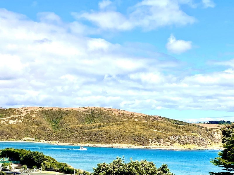 59A Mana View Road, Paremata, Porirua - Carousel 22