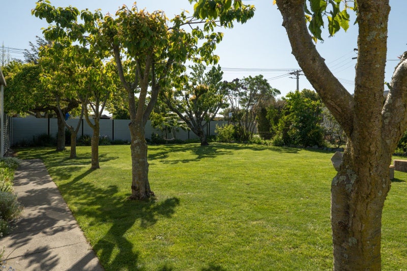 44 Adams Lane, Springlands, Blenheim - Carousel 23