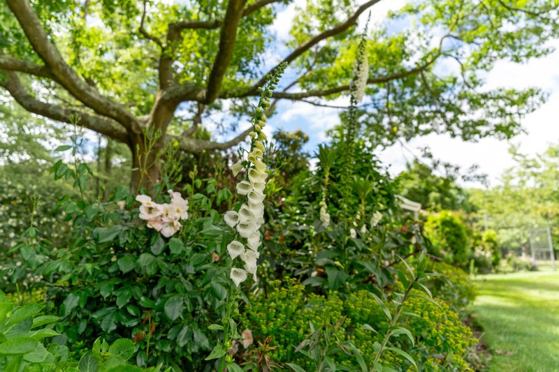 35B Pokohiwi Road, Homebush, Masterton - Carousel 26