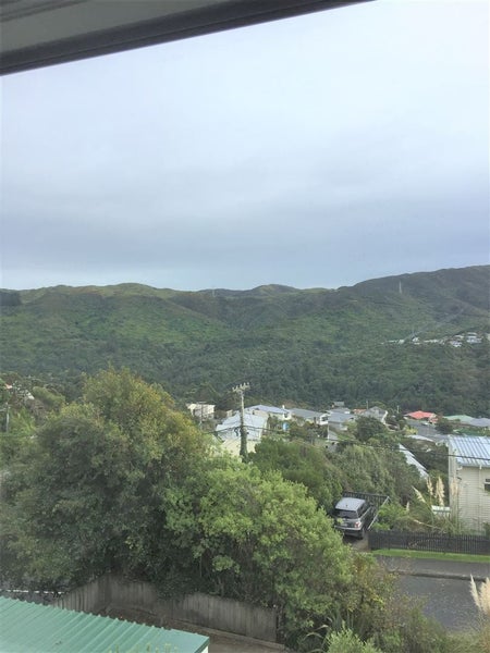 14A Euston Road, Wilton, Wellington - Carousel 13