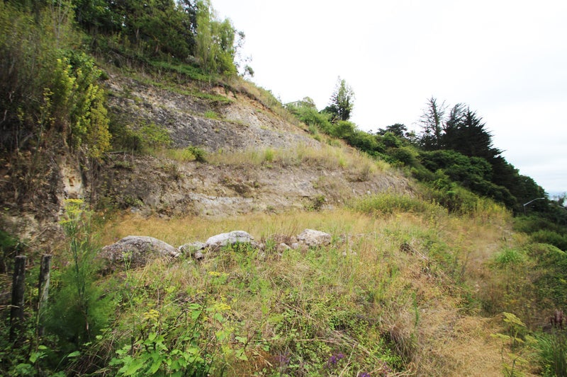 108 Shakespeare Road, Bluff Hill, Napier - Carousel 2