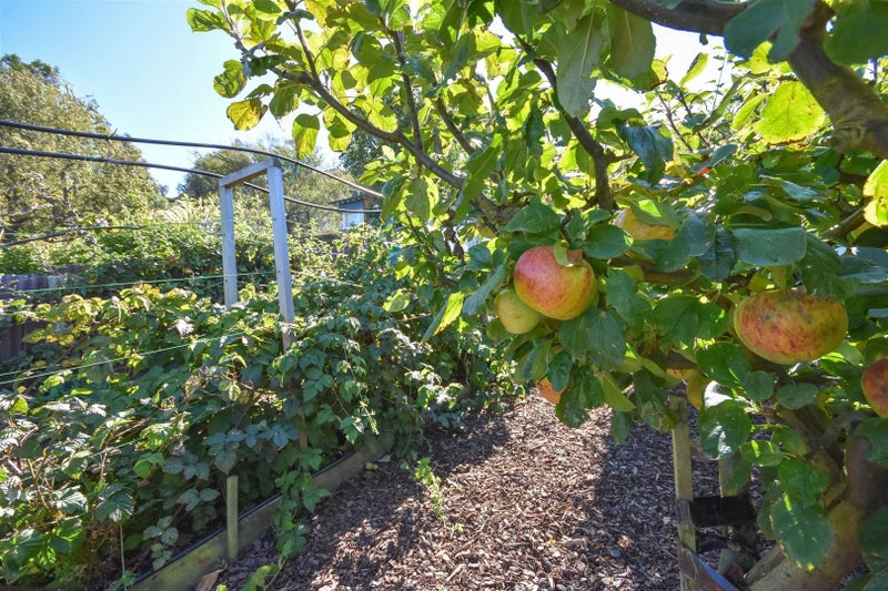 55 Rawhiti Street, Musselburgh, Dunedin - Carousel 21