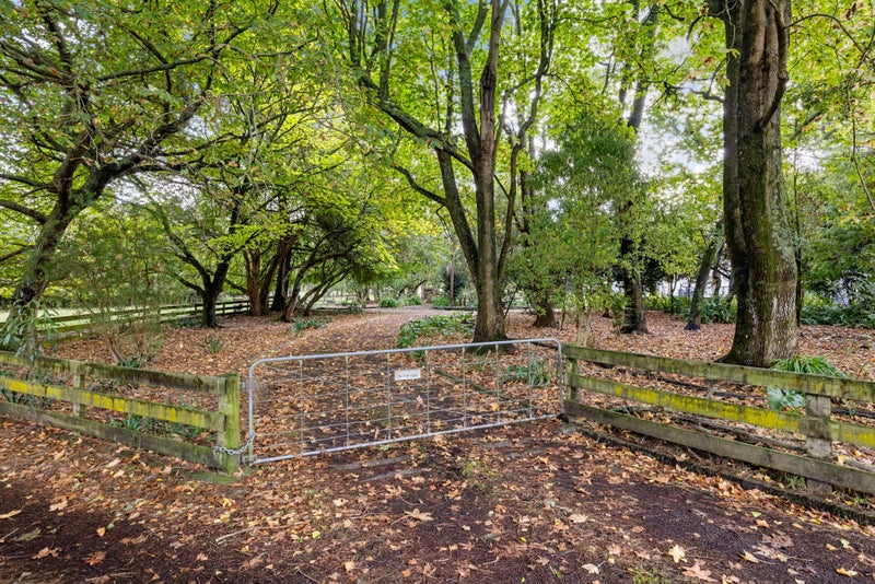 35A Law Crescent, Horotiu, Hamilton - Carousel 1