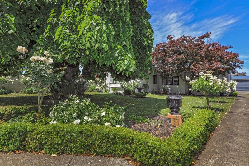 709 Nelson Street North, Hastings - Carousel 23