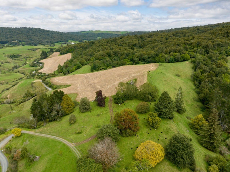 0 Piakonui Road, Richmond Downs, WALTON - Carousel 10