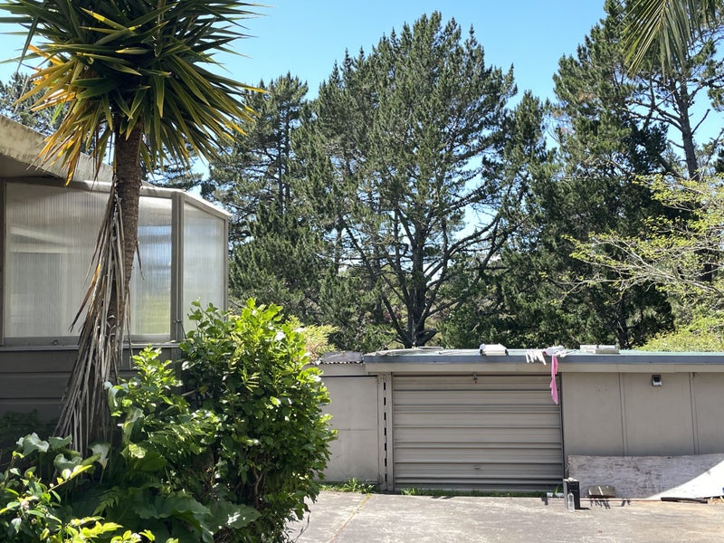 19 Kauri Road, Whenuapai, Auckland - Carousel 9