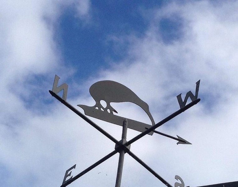 17 Kiwi Street, Saint Leonards, Dunedin - Carousel 31