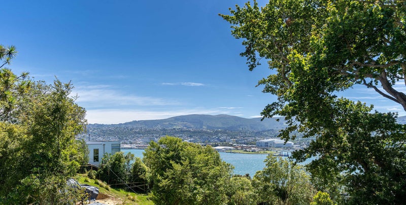 99 Doon Street, Waverley, Dunedin - Carousel 2