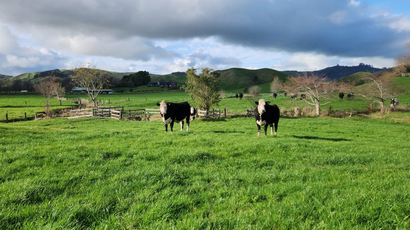 148 Flume Road, Te Miro - Carousel 2