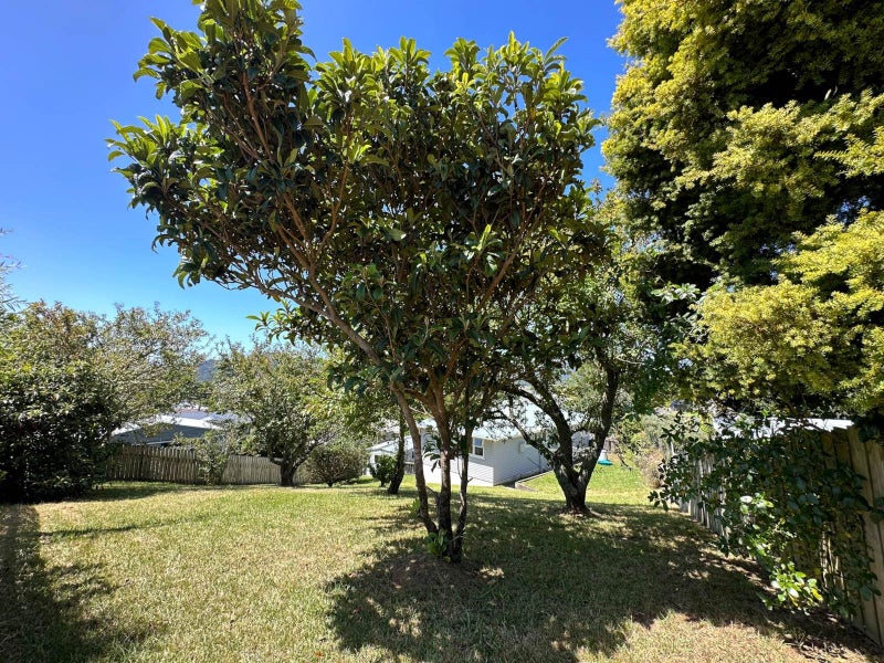 25 Hilltop Avenue, Morningside, Whangarei - Carousel 1