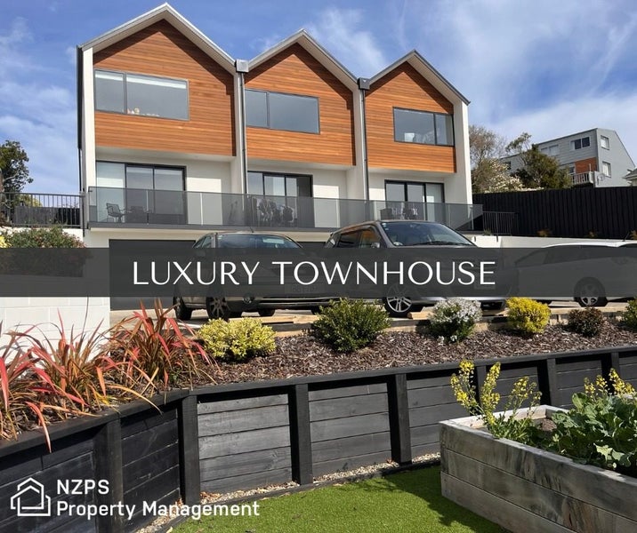 45C Ann Street, Kaikorai, Dunedin - Carousel 1