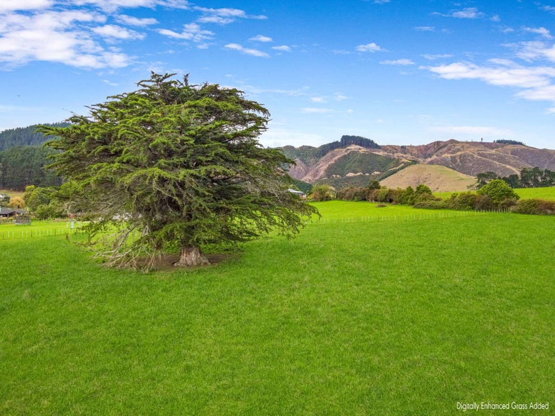 383 Wallace Road, Koputaroa, Shannon - Carousel 7