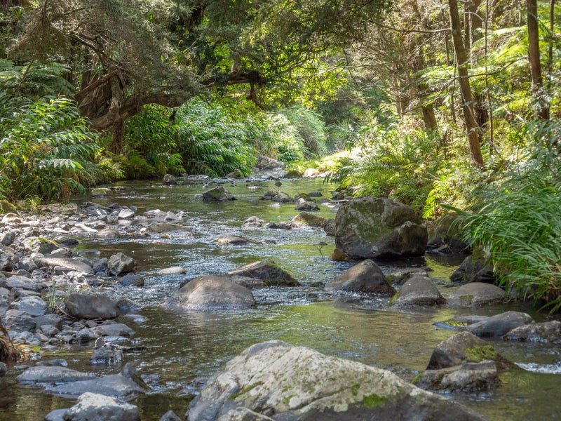 697 Kohumaru Road, Mangonui - Carousel 2