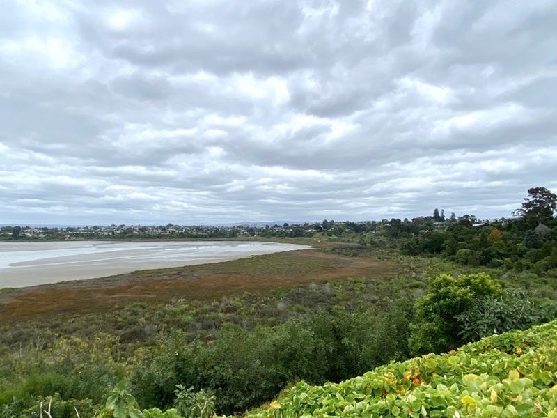 20 Mana Street, Otumoetai, Tauranga - Carousel 2