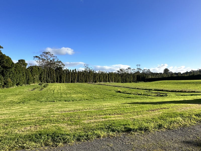 169 Waipapa Road, WAIPAPA, KERIKERI - Carousel 2