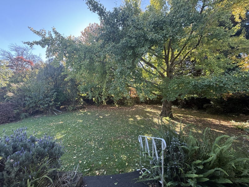 36 Richmond Avenue, Takaro, Palmerston North - Carousel 17