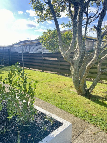 0 , Takapuna - Carousel 13