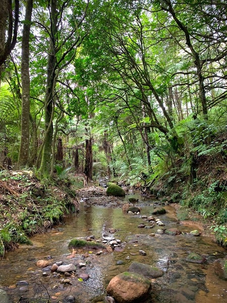442 Lockington Road, Katikati - Carousel 27